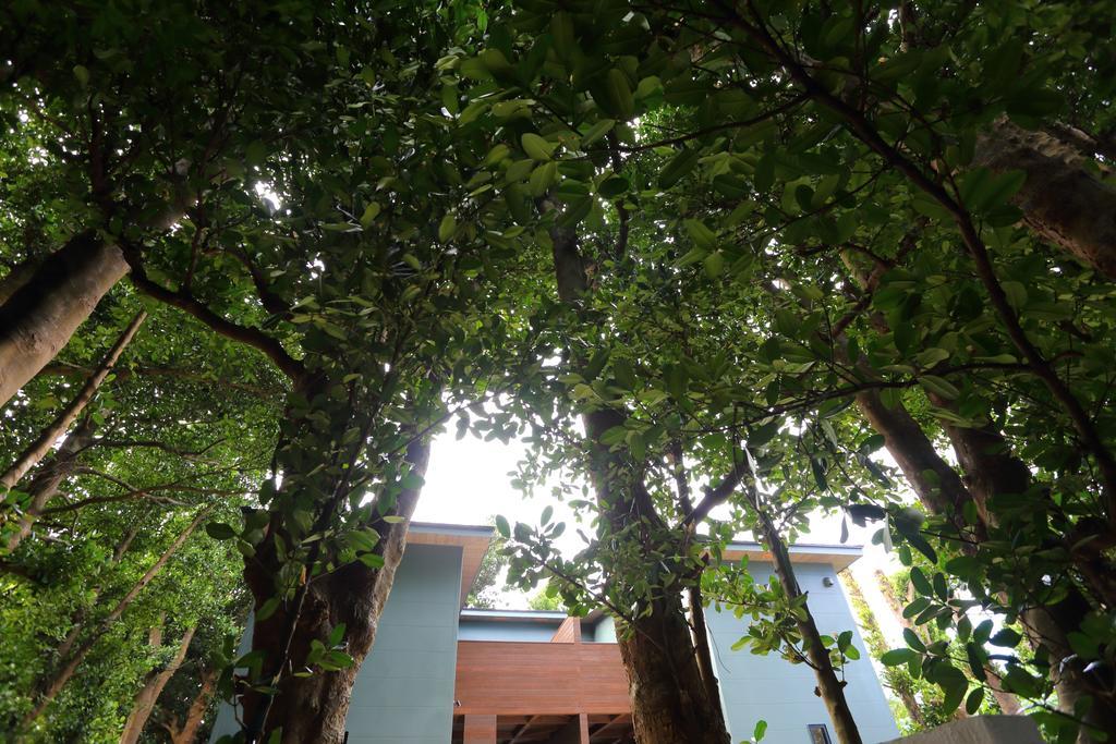 Tabinoteitaku Okinawa Bise Homann Concept Villa Motobu Exterior photo